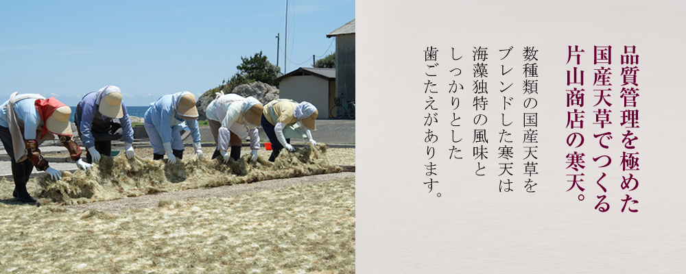 品質管理を極めた片山の天草