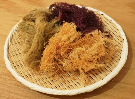 天草